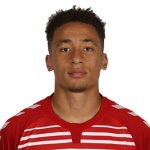 Marcus Tavernier, AFC Bournemouth player