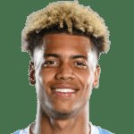 Felix Nmecha, Borussia Dortmund player