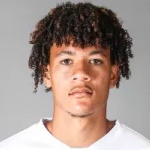 Joel Schingtienne, Venezia FC player