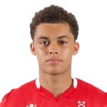Brennan Johnson, Everton FC player