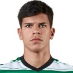 Mateus Fernandes, Tottenham Hotspur FC player
