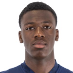 Joane Gadou, Borussia Dortmund player