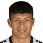 Vicente Espinoza, Palestino player