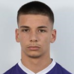 Viktor Radojević, Montreal Impact player