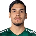 Gustavo Gomez, Palmeiras player