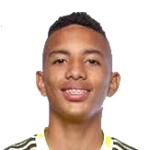 Jordan Barrera, jogador do Botafogo