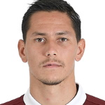 Sasa Lukic, Ipswich Town FC player