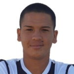 Cesar Araujo, Tigres player