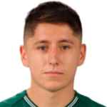Matias Plaza, Nublense player