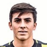 Leandro Diaz, O'Higgins player