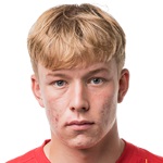 Daniel Svensson, Borussia Dortmund player