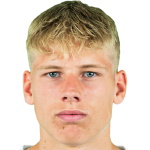 Albert Gronbaek, Hamburger SV player