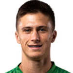 Mateo Lisica, Dinamo Zagreb player