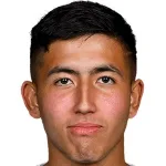 Mikael Ellertsson, Genoa CFC player