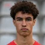 Noah Darvich, SV 07 Elversberg player