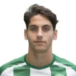 Ludovit Reis, SV Werder Bremen player